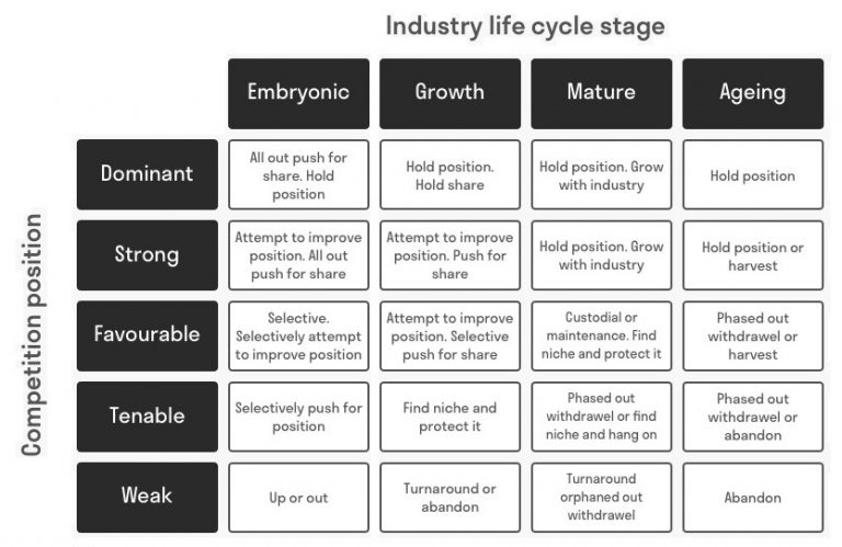 Arthur D. Little's matrix for technological decisions